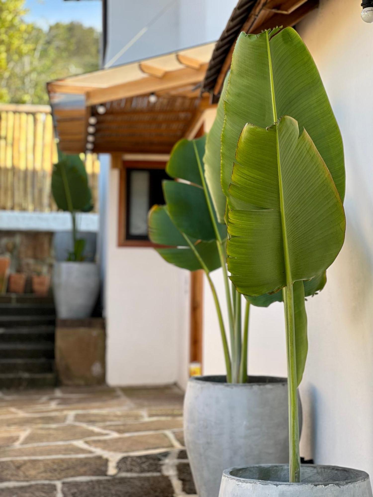 Hotel Campestre Palmas Del Zamorano San Gil Exteriör bild
